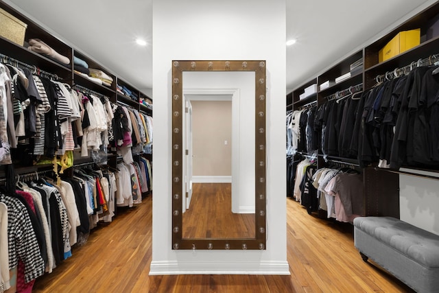 spacious closet featuring wood finished floors