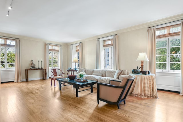 living room featuring crown molding and light hardwood / wood-style flooring