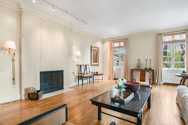 living room featuring wood-type flooring, ornamental molding, a healthy amount of sunlight, and a high end fireplace