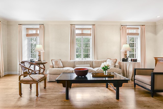 living room featuring plenty of natural light, ornamental molding, and light wood-type flooring