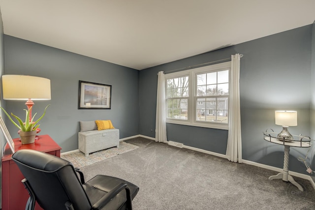 sitting room featuring carpet