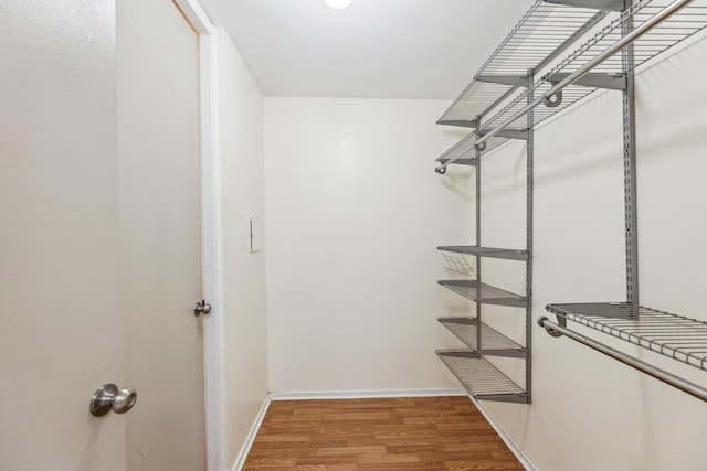 spacious closet with hardwood / wood-style flooring