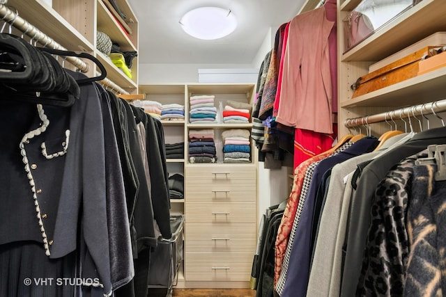 walk in closet featuring hardwood / wood-style flooring