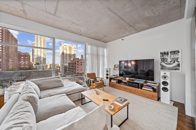 living room with hardwood / wood-style flooring