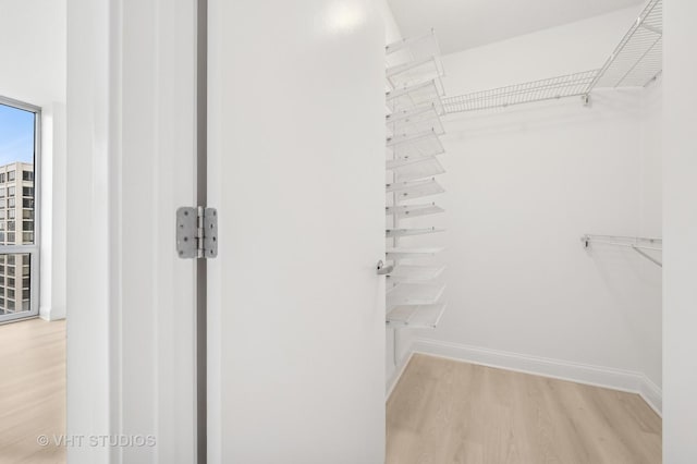 walk in closet featuring light hardwood / wood-style floors