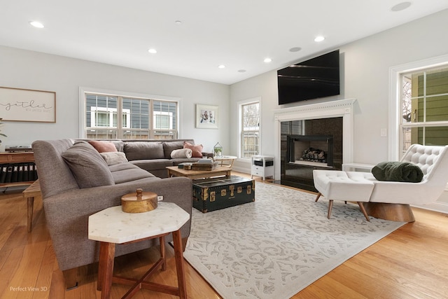 living room featuring hardwood / wood-style floors