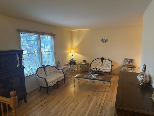 sitting room featuring hardwood / wood-style floors