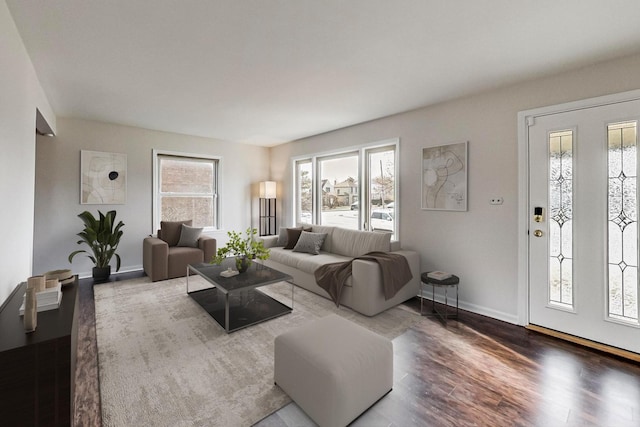 living room featuring wood-type flooring