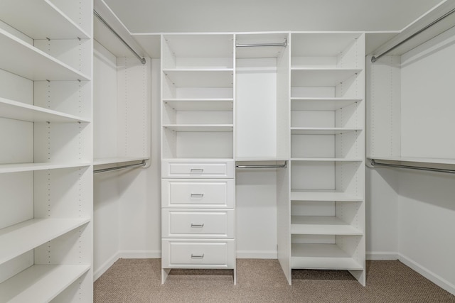 spacious closet with light colored carpet