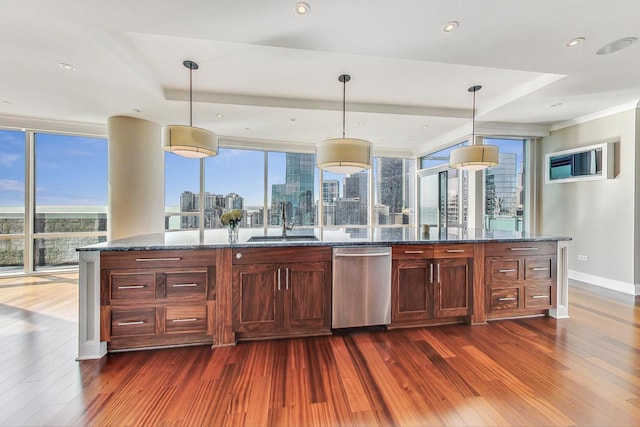 kitchen with stainless steel dishwasher, plenty of natural light, dark wood-type flooring, and a sink