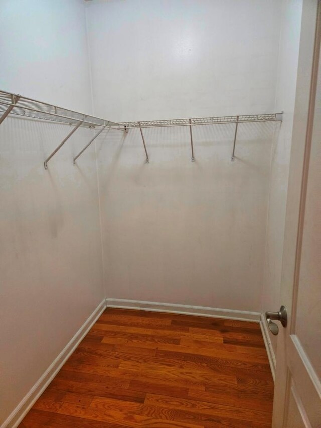 walk in closet featuring dark wood-type flooring