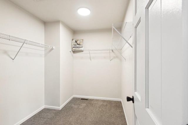 spacious closet featuring carpet