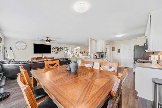 dining room with dark wood-type flooring, sink, and ceiling fan