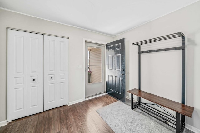 bedroom featuring a closet and dark hardwood / wood-style floors