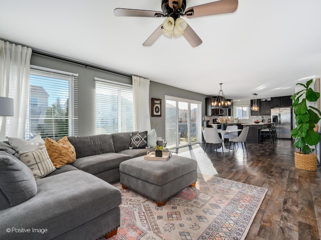 living room featuring dark hardwood / wood-style floors and ceiling fan with notable chandelier