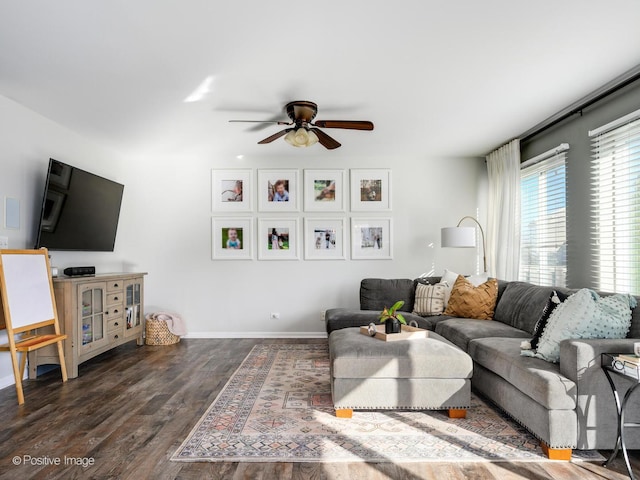 living room featuring ceiling fan and dark hardwood / wood-style flooring