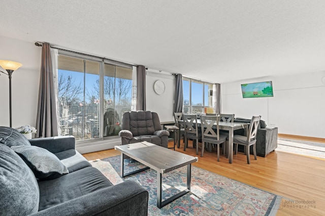 living room featuring hardwood / wood-style flooring and a textured ceiling