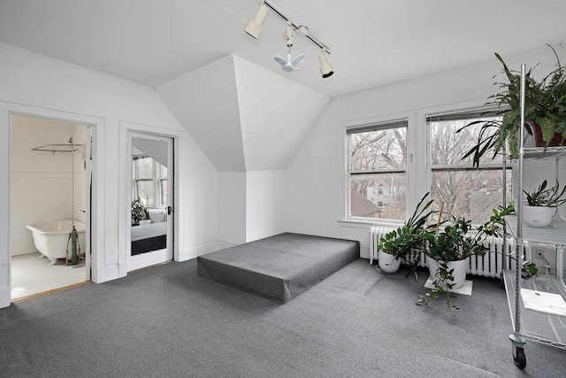 bedroom with lofted ceiling, carpet flooring, track lighting, and radiator