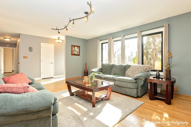 living room featuring track lighting and light hardwood / wood-style floors