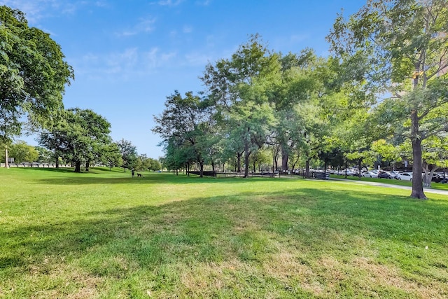 view of home's community featuring a yard