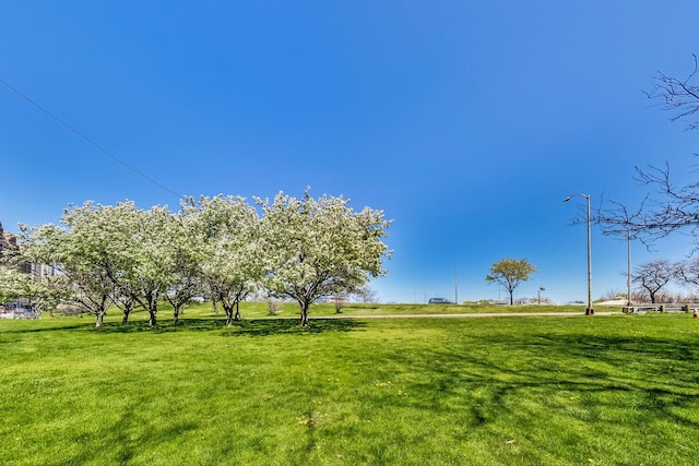 view of property's community with a yard and a rural view