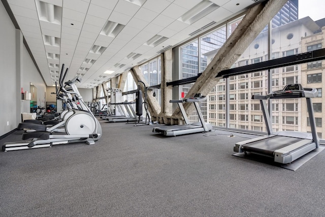 exercise room featuring a paneled ceiling and floor to ceiling windows