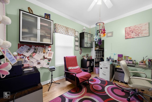 office with crown molding, light hardwood / wood-style floors, and ceiling fan