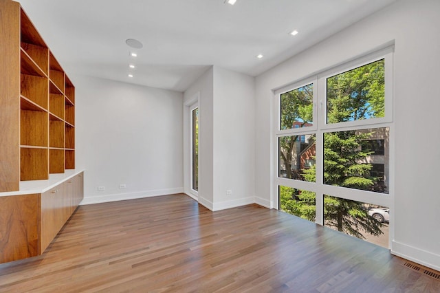 interior space with light hardwood / wood-style flooring and a wealth of natural light