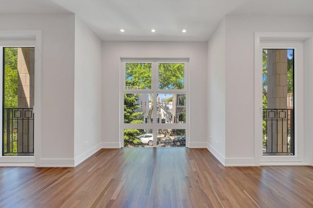 empty room with light hardwood / wood-style flooring and a wealth of natural light