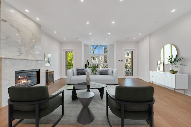 living room with a premium fireplace and light wood-type flooring