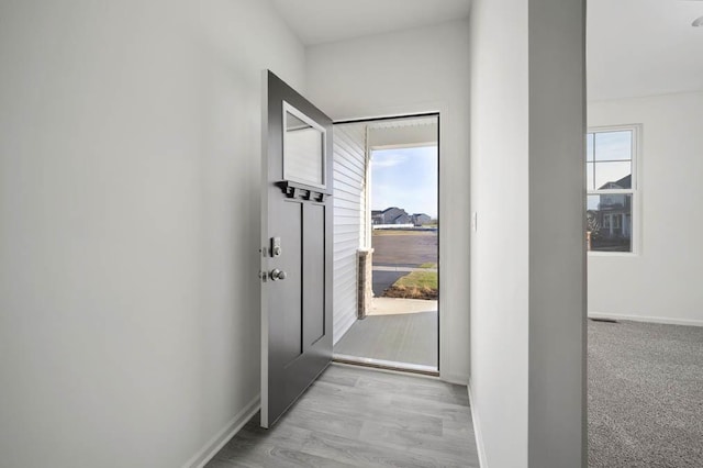 entryway with a wealth of natural light and light hardwood / wood-style flooring