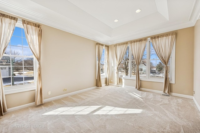 carpeted empty room with baseboards, a raised ceiling, and a wealth of natural light