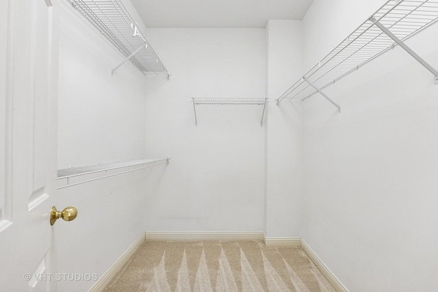 spacious closet with carpet floors