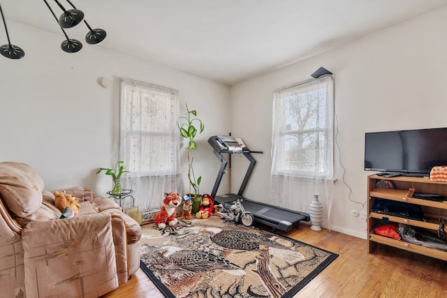 workout room featuring light wood-type flooring