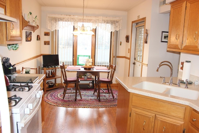 dining space featuring wood-type flooring, sink, and a chandelier