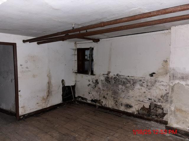 basement featuring dark hardwood / wood-style floors