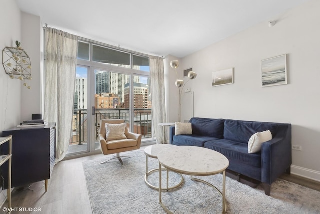 living room with hardwood / wood-style flooring