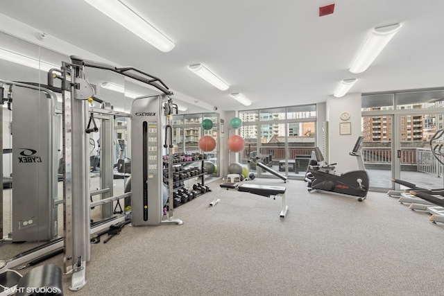 gym featuring floor to ceiling windows