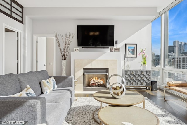 living room with a fireplace, a wall of windows, and wood-type flooring