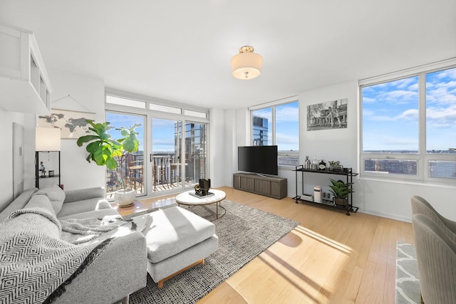 living room featuring hardwood / wood-style flooring and plenty of natural light