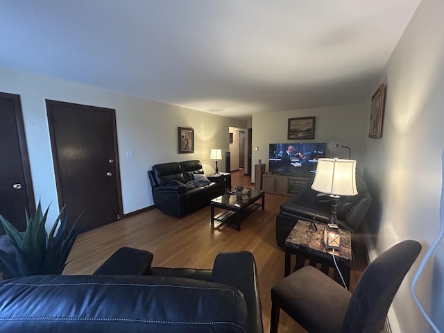 living room featuring wood-type flooring