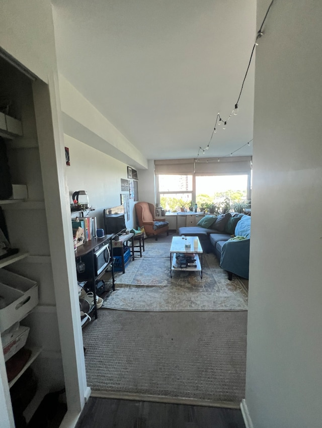 living room with hardwood / wood-style flooring