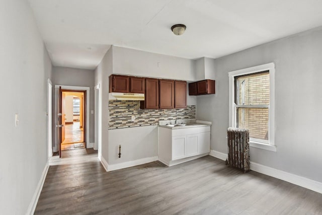 kitchen featuring tasteful backsplash, radiator, light hardwood / wood-style floors, and sink