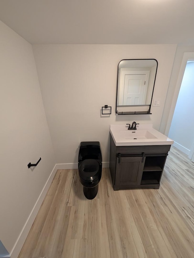 bathroom with vanity and wood-type flooring