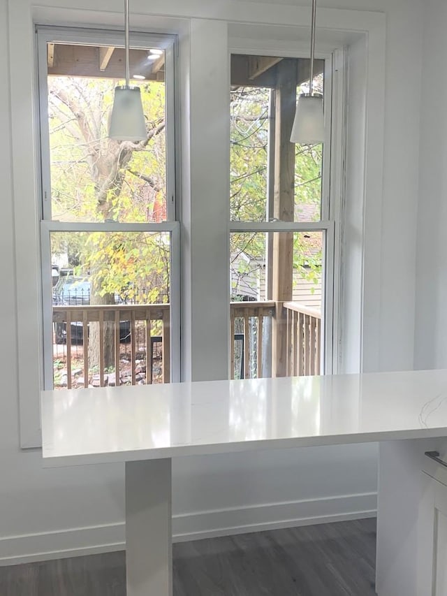 dining space with dark hardwood / wood-style flooring and a healthy amount of sunlight