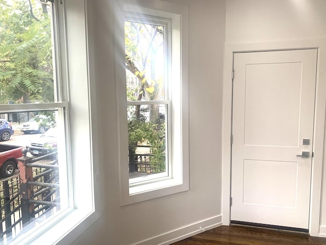 doorway with a healthy amount of sunlight and dark hardwood / wood-style floors