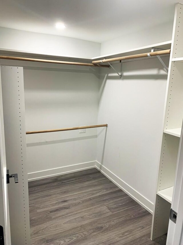 walk in closet featuring dark hardwood / wood-style floors