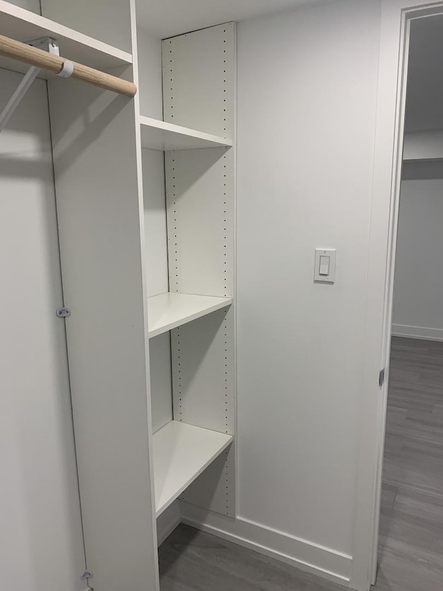 spacious closet featuring dark hardwood / wood-style flooring