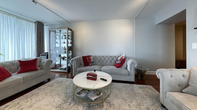 living room featuring dark wood-type flooring