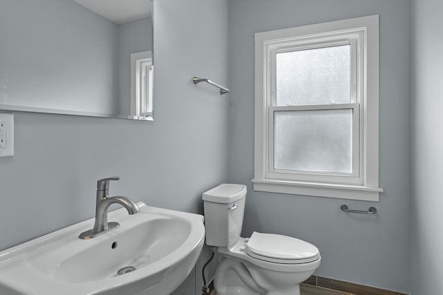 bathroom featuring toilet, sink, and hardwood / wood-style floors